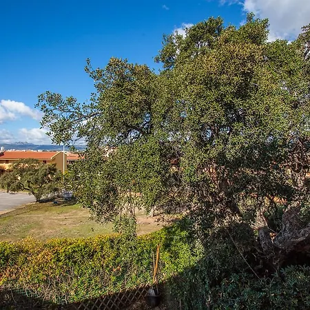 Apartment Casa Marilisa Olbia